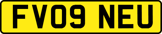 FV09NEU