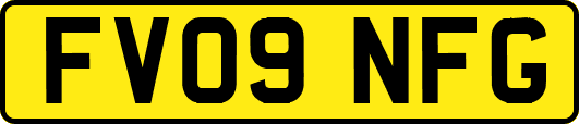 FV09NFG