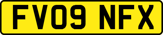 FV09NFX