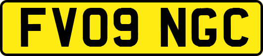 FV09NGC