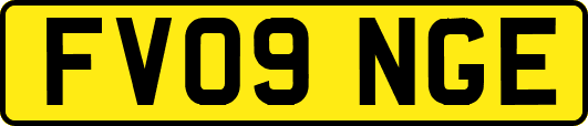 FV09NGE
