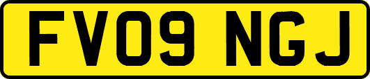 FV09NGJ