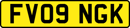 FV09NGK