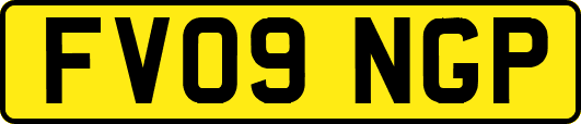 FV09NGP