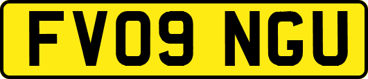 FV09NGU