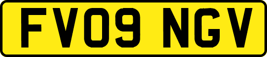 FV09NGV