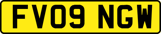 FV09NGW