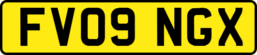 FV09NGX