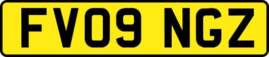 FV09NGZ