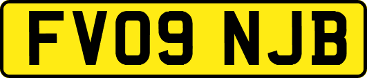 FV09NJB