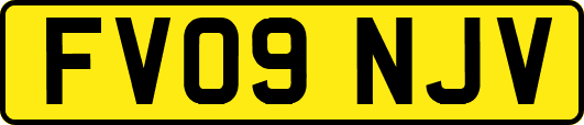 FV09NJV