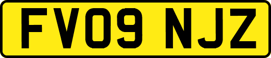 FV09NJZ
