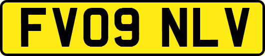 FV09NLV