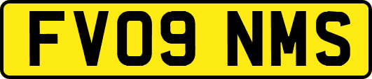 FV09NMS