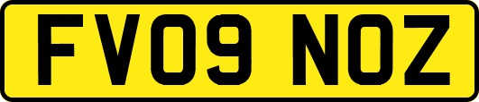 FV09NOZ