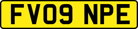 FV09NPE