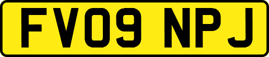 FV09NPJ