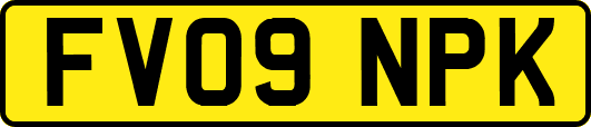 FV09NPK