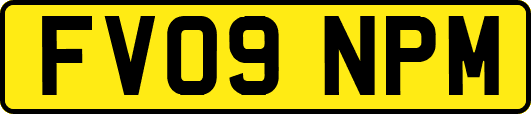 FV09NPM