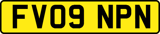 FV09NPN