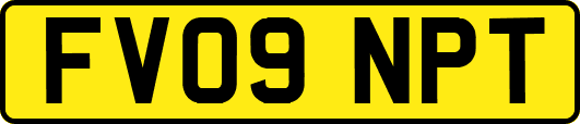 FV09NPT