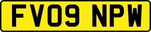 FV09NPW