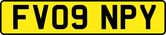 FV09NPY