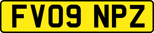 FV09NPZ