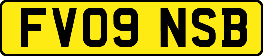 FV09NSB