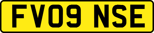 FV09NSE