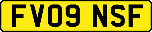 FV09NSF