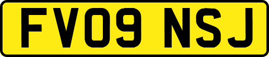FV09NSJ
