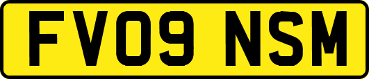 FV09NSM