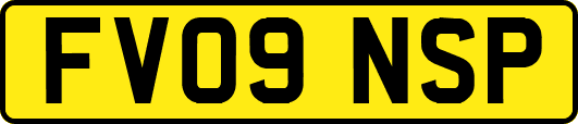 FV09NSP