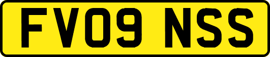 FV09NSS