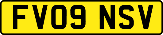 FV09NSV