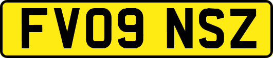 FV09NSZ