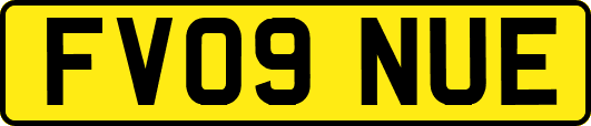 FV09NUE