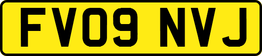 FV09NVJ