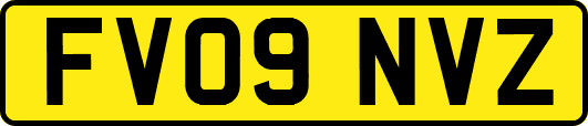 FV09NVZ