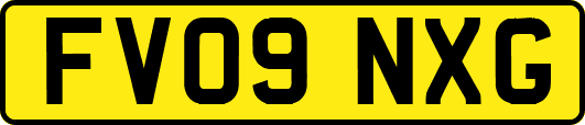 FV09NXG