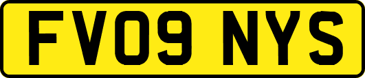 FV09NYS