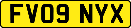 FV09NYX