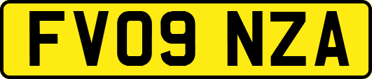 FV09NZA