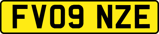 FV09NZE