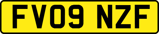 FV09NZF