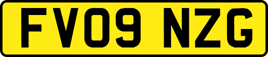 FV09NZG