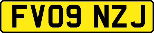 FV09NZJ