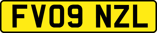 FV09NZL