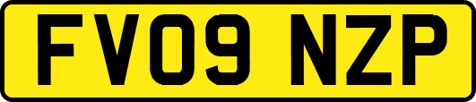 FV09NZP